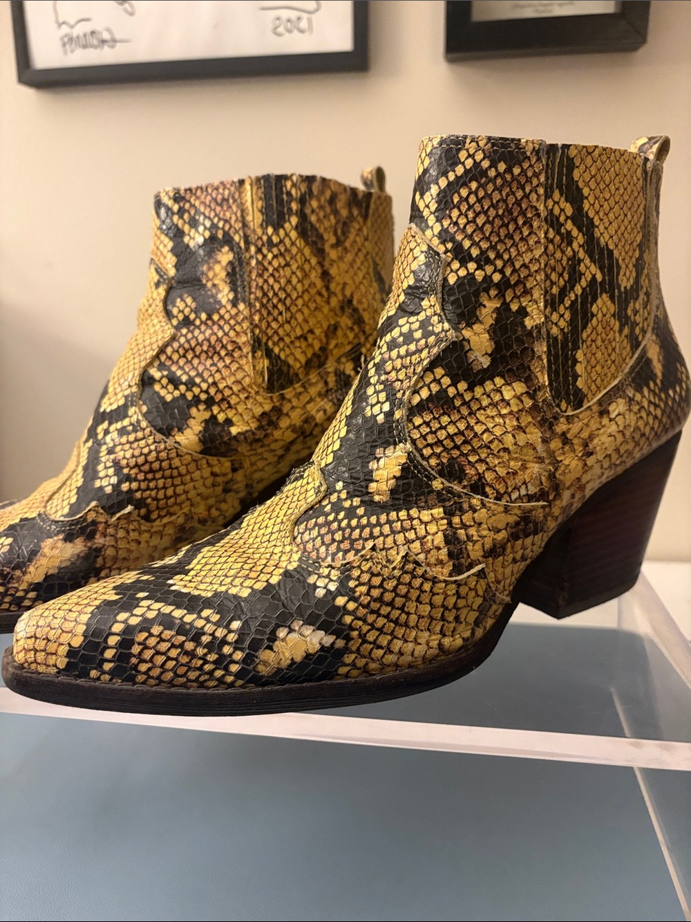 Sam Edelman Yellow & Black Snake-Print Ankle Boots